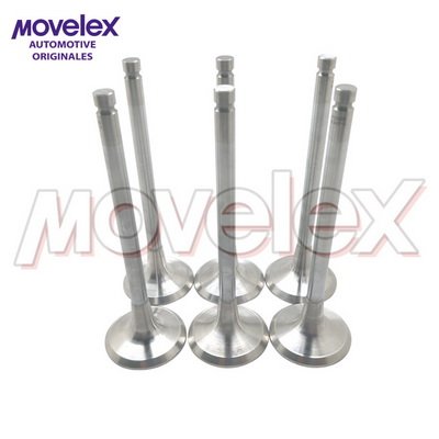 Movelex M08027