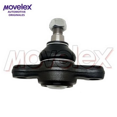 Movelex M20590