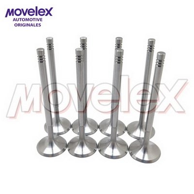 Movelex M20942-2