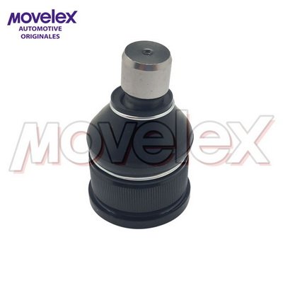 Movelex M18875