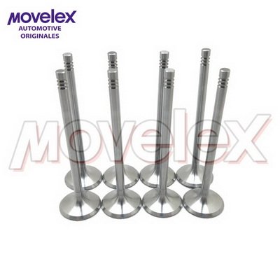 Movelex M04640