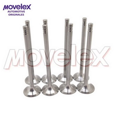 Movelex M04641