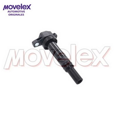 Movelex M05848