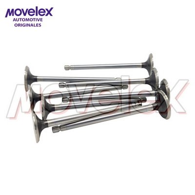 Movelex M03299