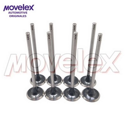 Movelex M04645