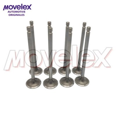 Movelex M00271