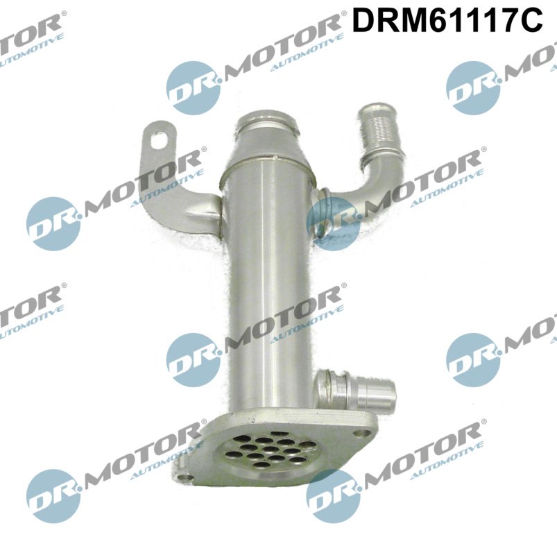 Dr.Motor Automotive DRM61117C