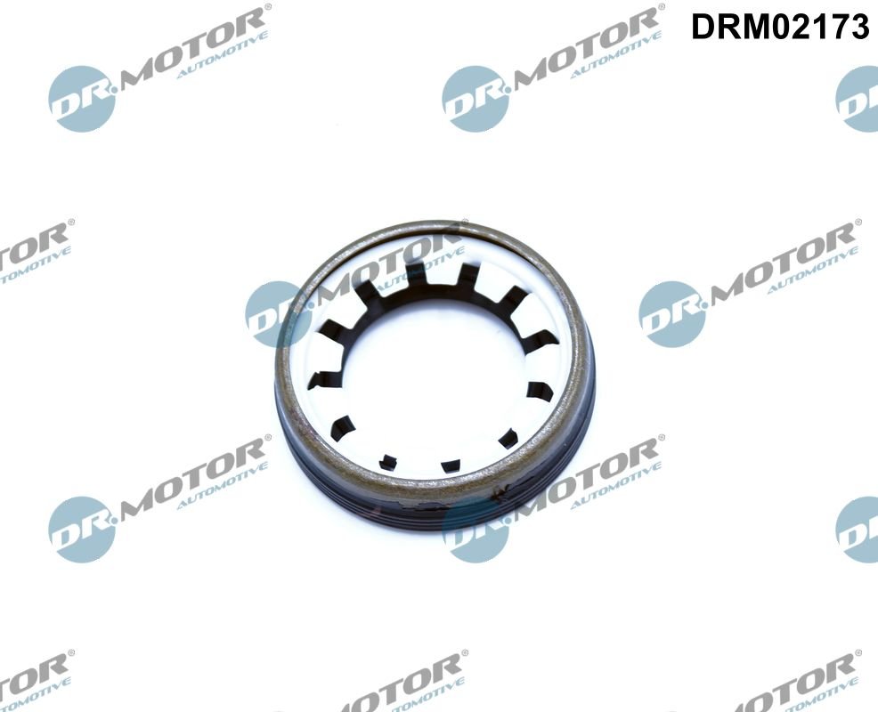 Dr.Motor Automotive DRM02173