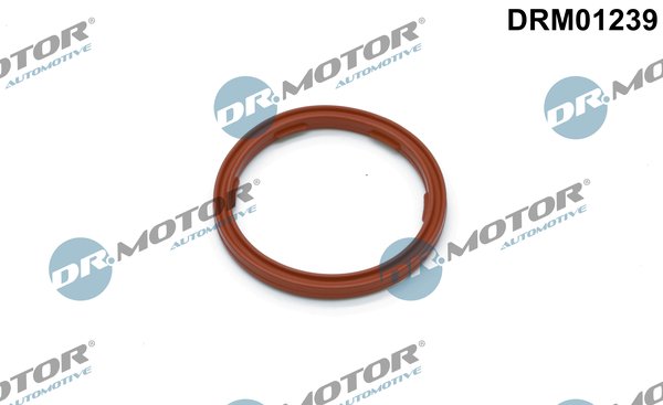 Dr.Motor Automotive DRM01239
