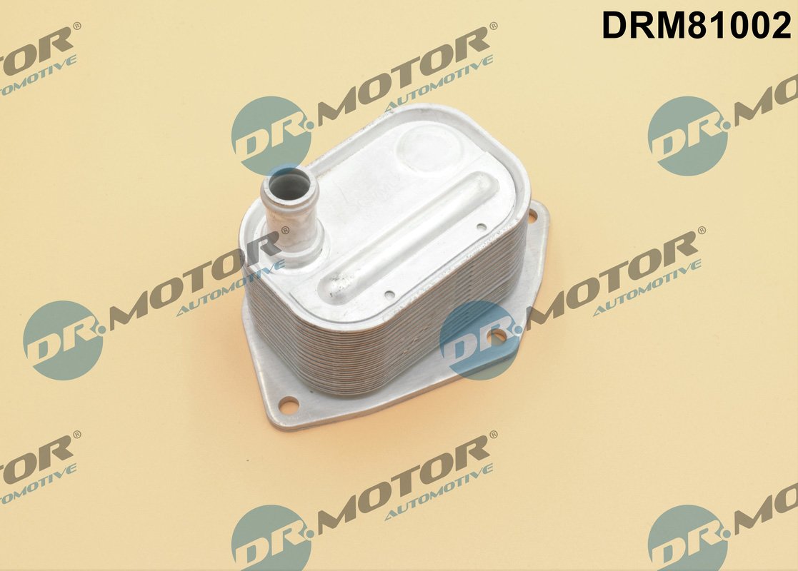 Dr.Motor Automotive DRM81002