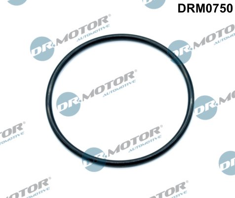 Dr.Motor Automotive DRM0750