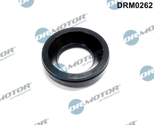 Dr.Motor Automotive DRM0262