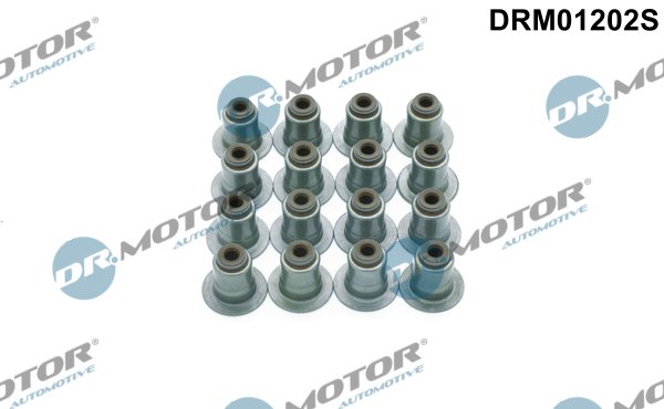 Dr.Motor Automotive DRM01202S
