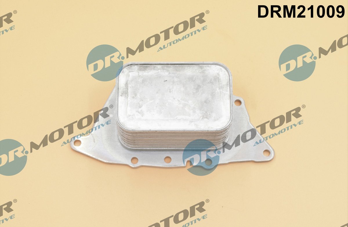 Dr.Motor Automotive DRM21009