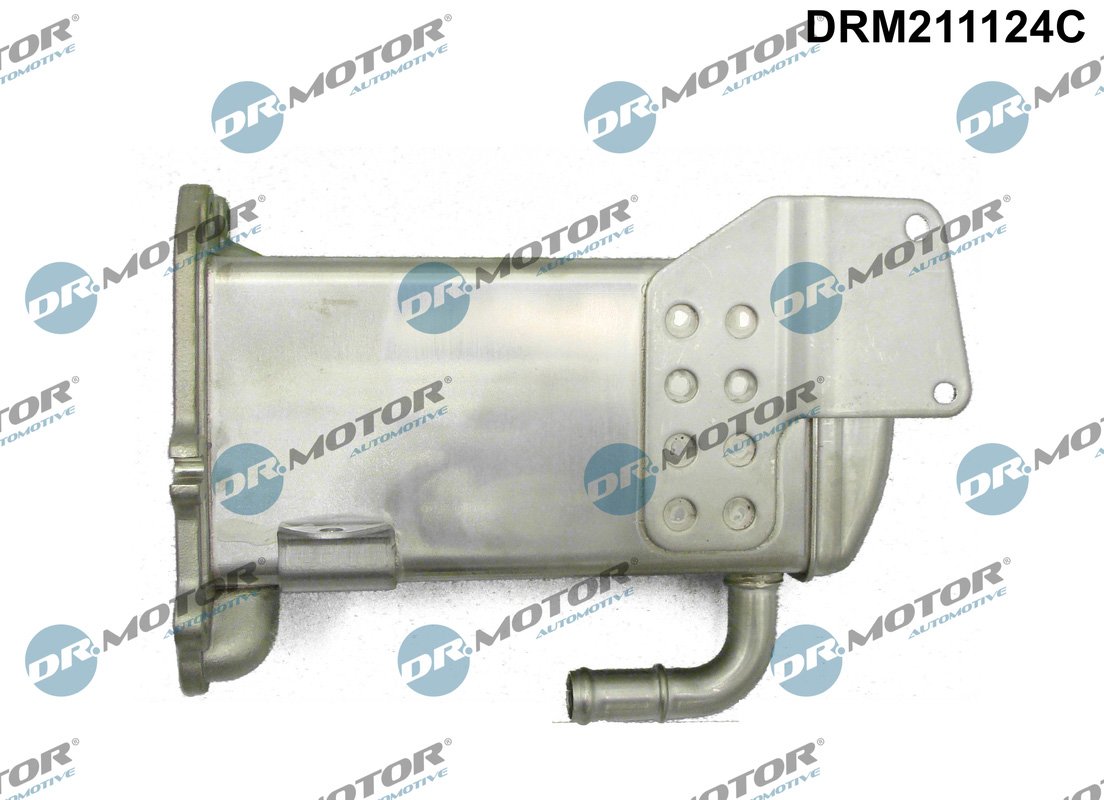 Dr.Motor Automotive DRM211124C