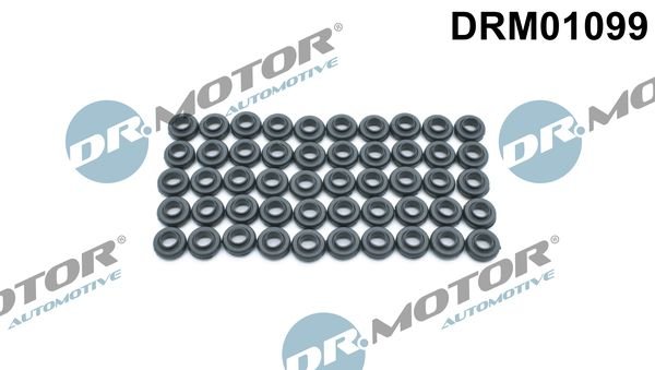 Dr.Motor Automotive DRM01099