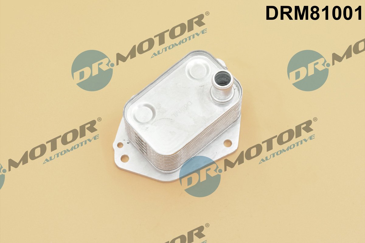 Dr.Motor Automotive DRM81001