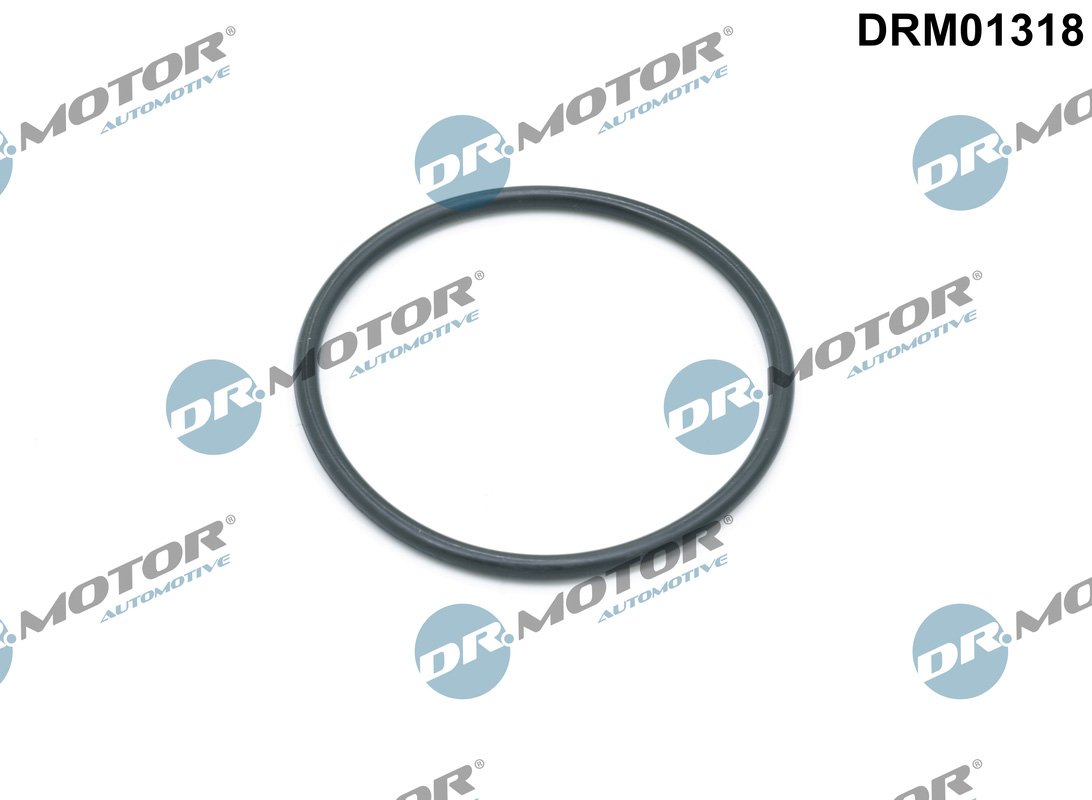 Dr.Motor Automotive DRM01318