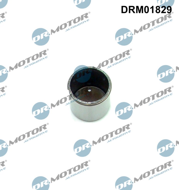 Dr.Motor Automotive DRM01829