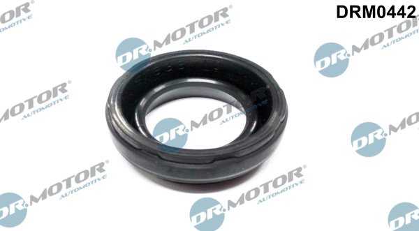 Dr.Motor Automotive DRM0442