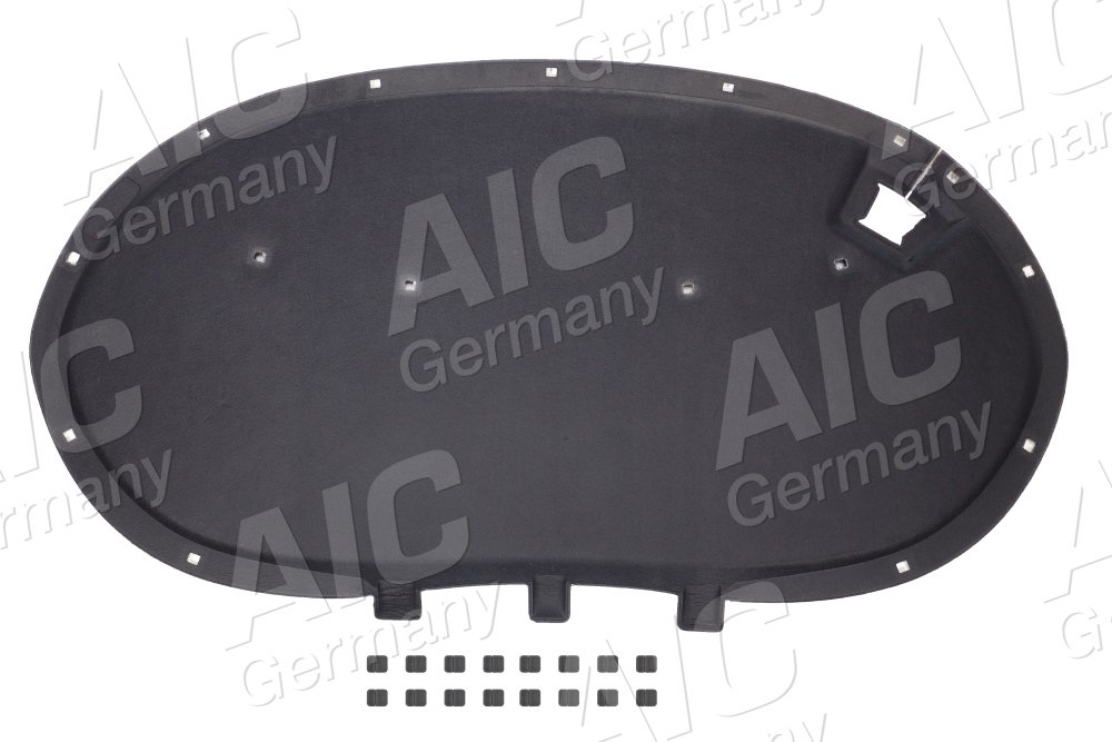 AIC 58165