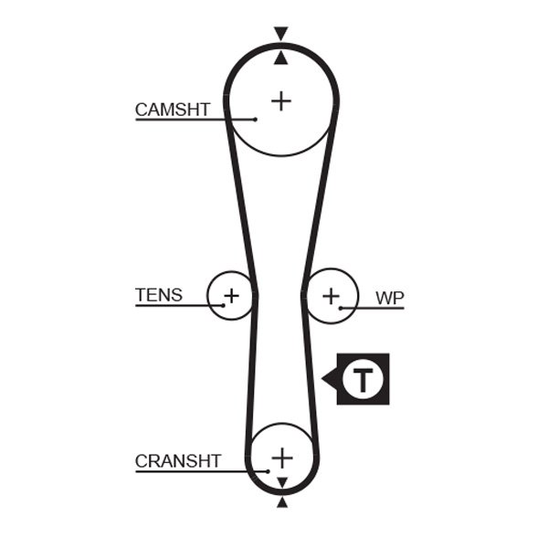 GATES-BR 5454XS