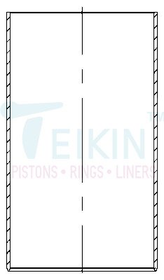 TEIKIN LSX-46257.STD