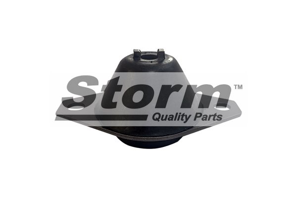 Storm F2004