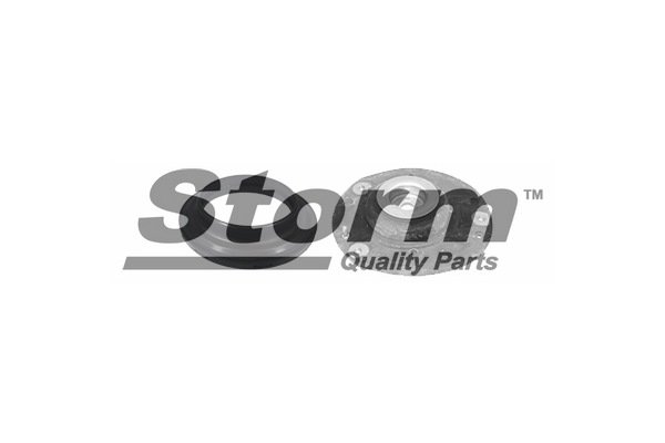 Storm F10964