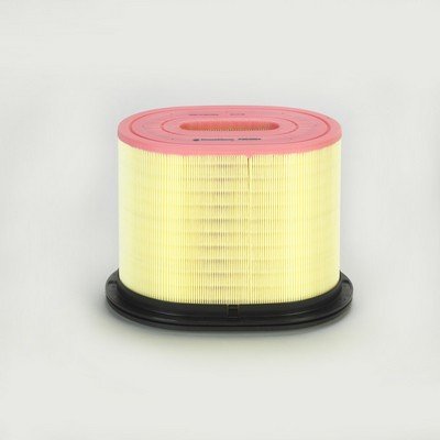 Donaldson-AU P953554