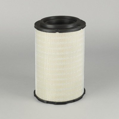 Donaldson-AU P500175
