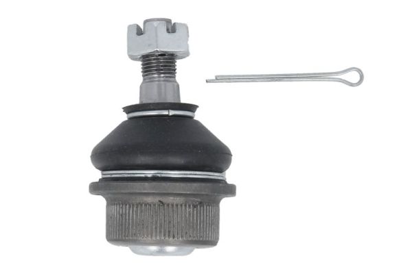 REINHOCH RH57-8004