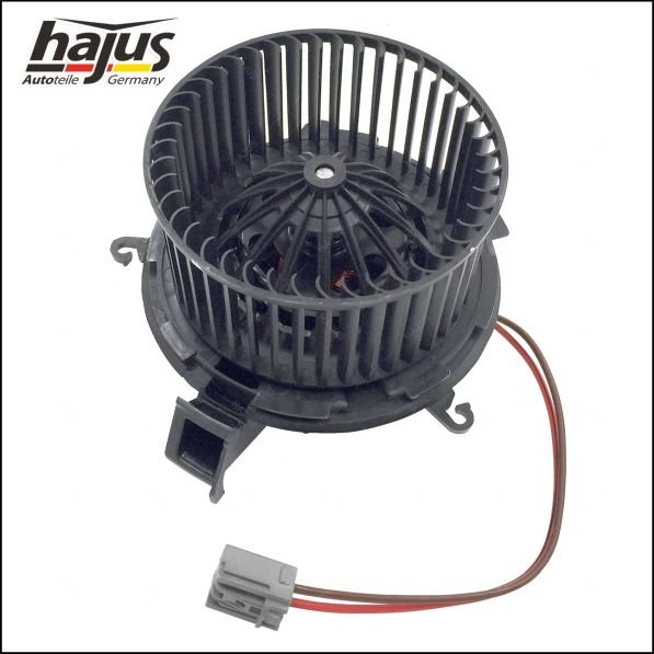 hajus Autoteile 8191048