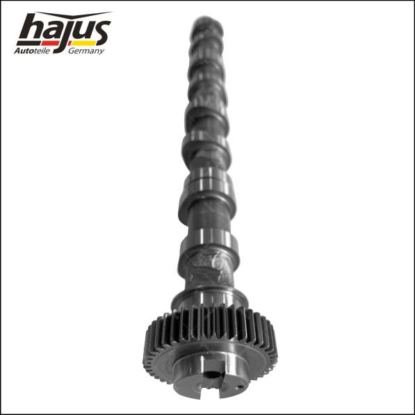 hajus Autoteile 1091062