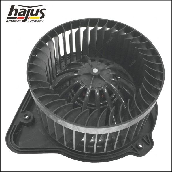 hajus Autoteile 8191053