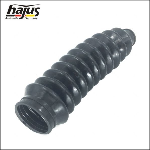 hajus Autoteile 4221006