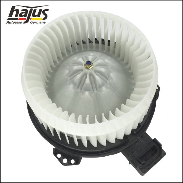 hajus Autoteile 8191069