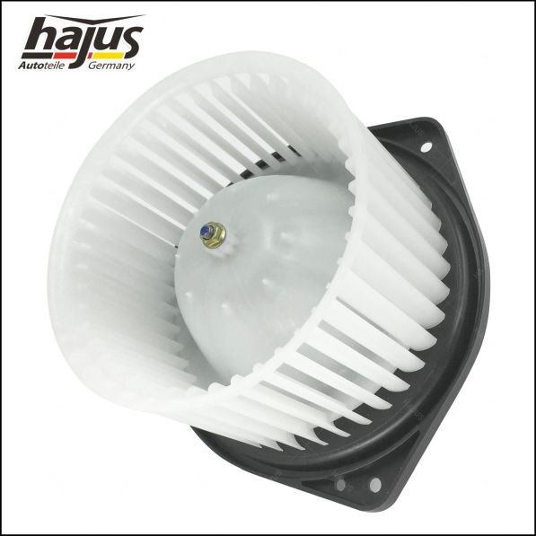 hajus Autoteile 8191065