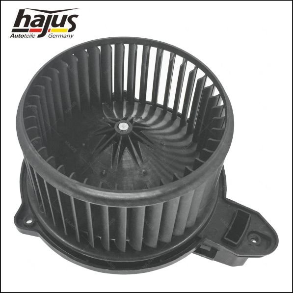 hajus Autoteile 8191052