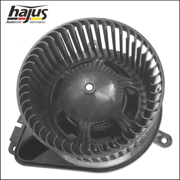 hajus Autoteile 8191058