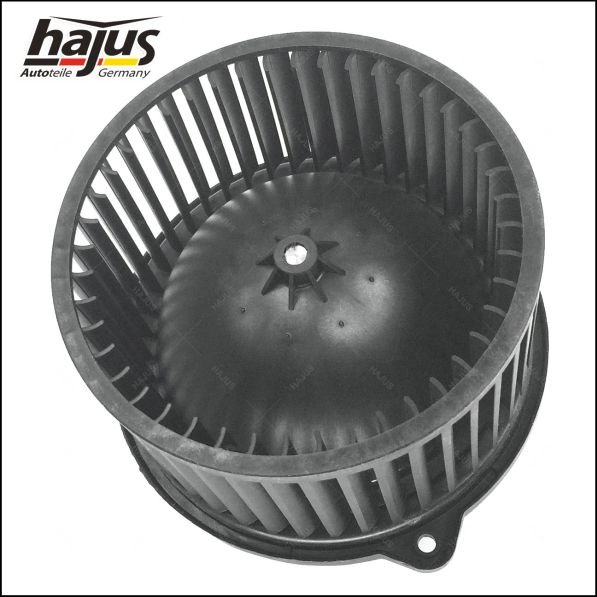 hajus Autoteile 8191051