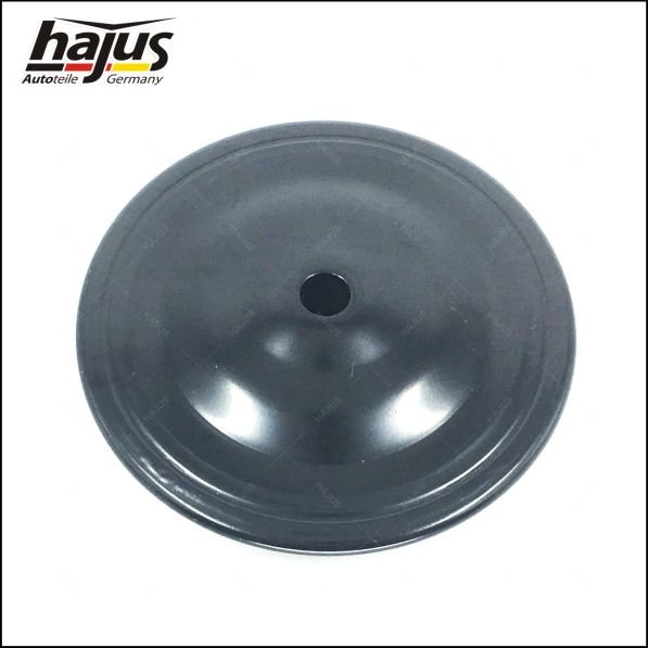 hajus Autoteile 4121001