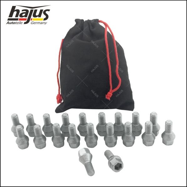 hajus Autoteile 6011038