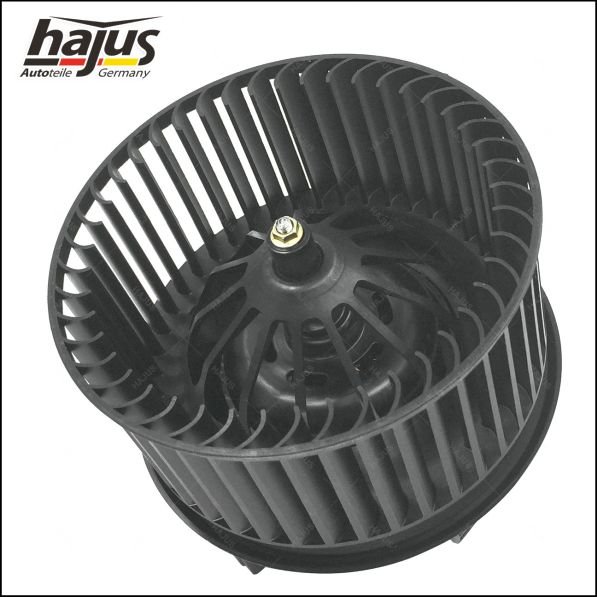 hajus Autoteile 8191073