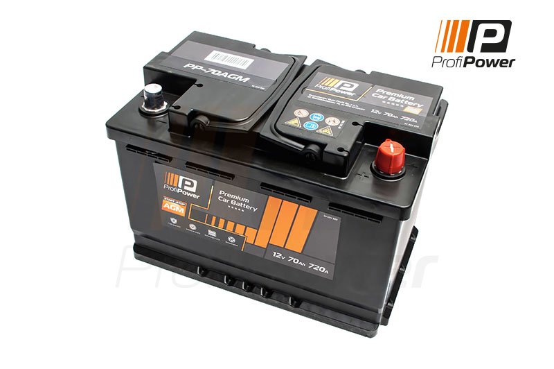 ProfiPower PP-700 AGM