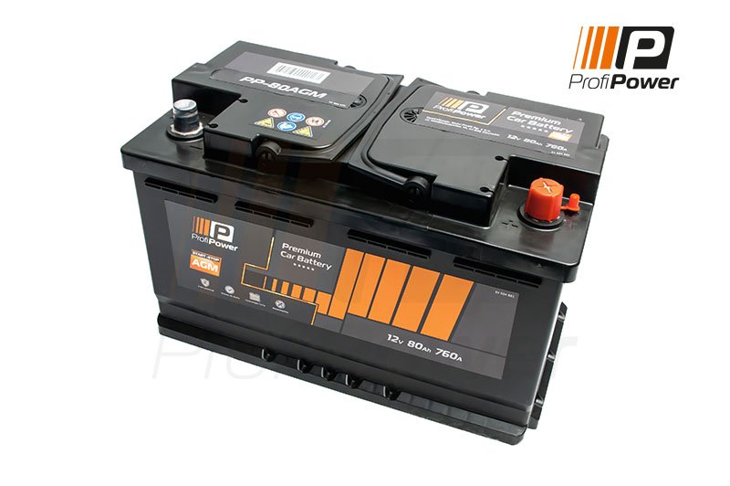 ProfiPower PP-800 AGM