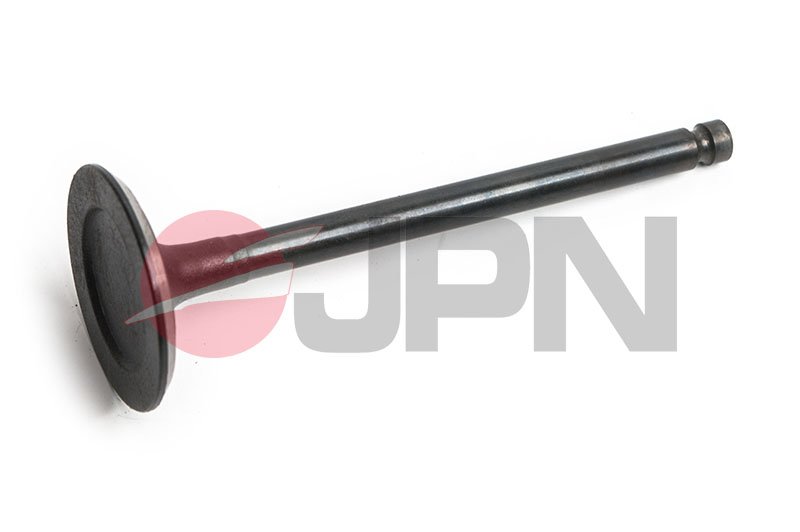 JPN 70M0313-JPN