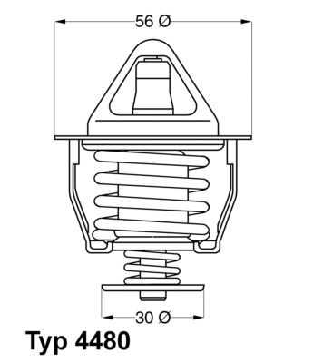 BorgWarner (Wahler) 4480.82D