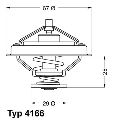 BorgWarner (Wahler) 4166.79D