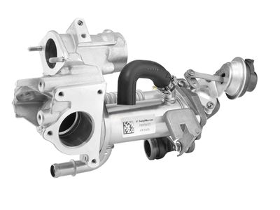 BorgWarner (Wahler) 790965D